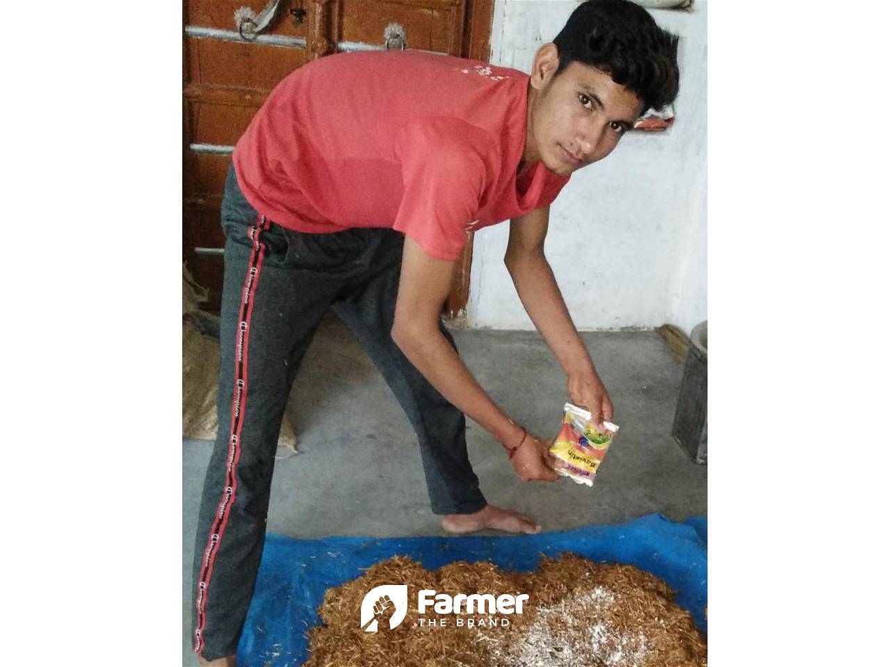 Radheshyam preparing wheat straw for growing mushrooms