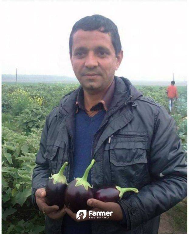 Kulbeer with horticulture crops