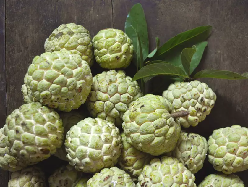 Custard Apple