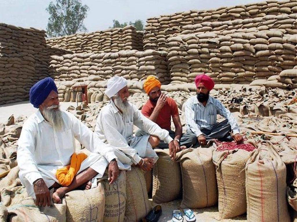 Paddy Procurement