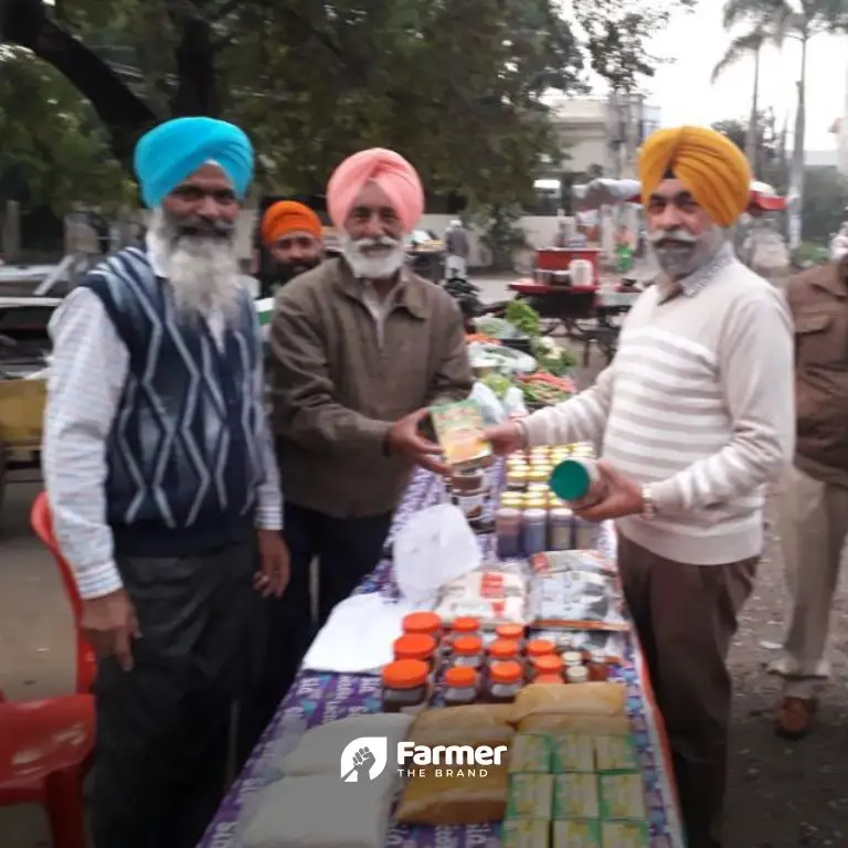 Growing, Processing and Selling Turmeric in Punjab: Live and Learn