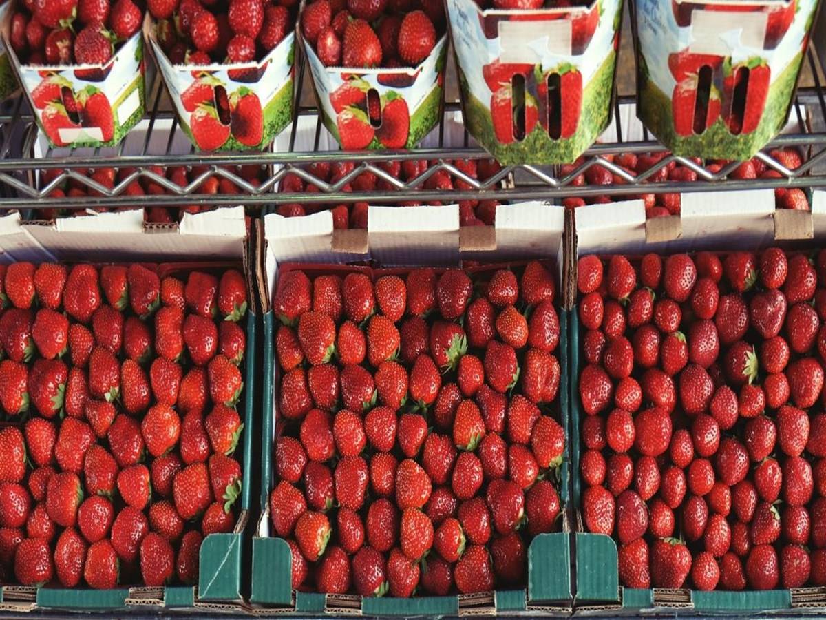 Strawberries in abundance