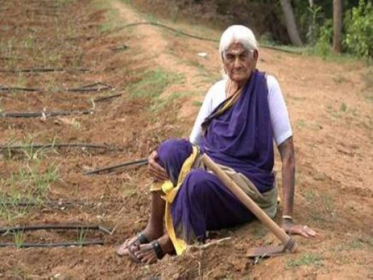 Padma Shri award winner Pappammal Rangammal in her field (source: Organic Farming Archives)