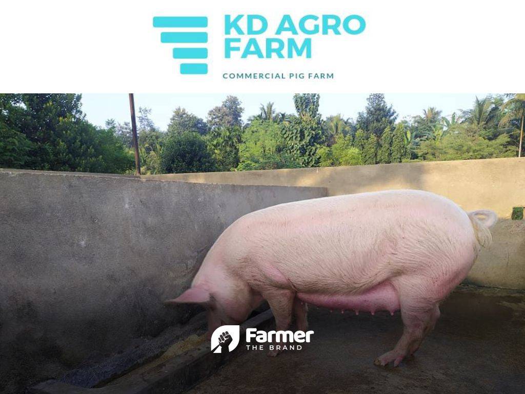 Brand KD Agro Farm