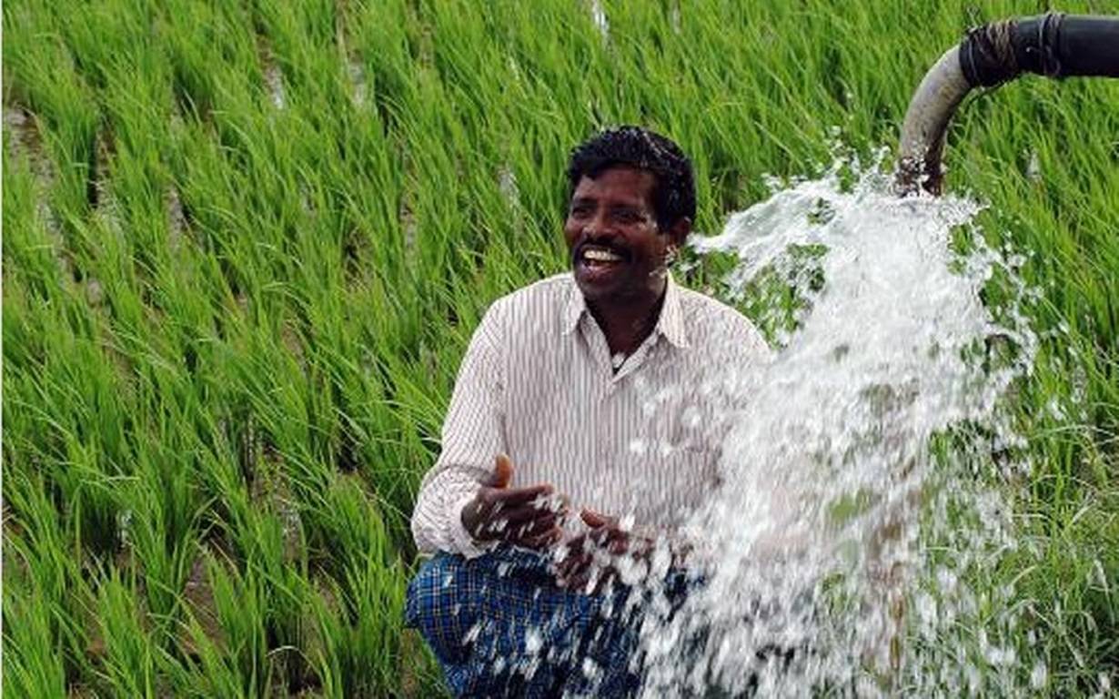 Happy Farmer