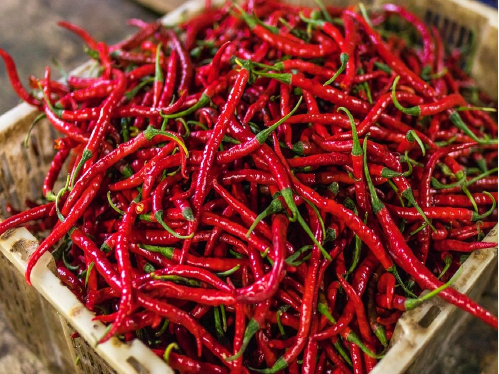 Red Chilli