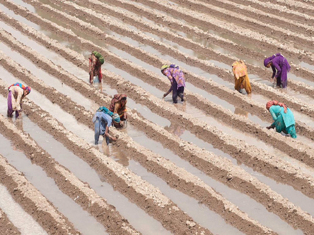 Planting