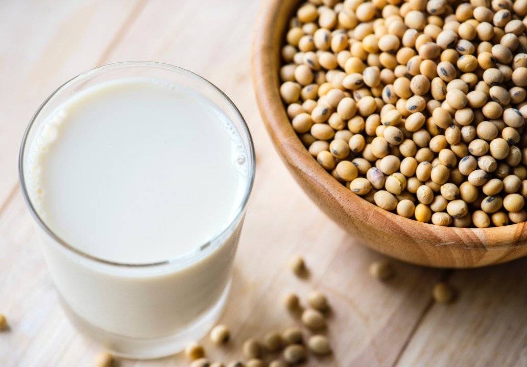 Soy milk recipe