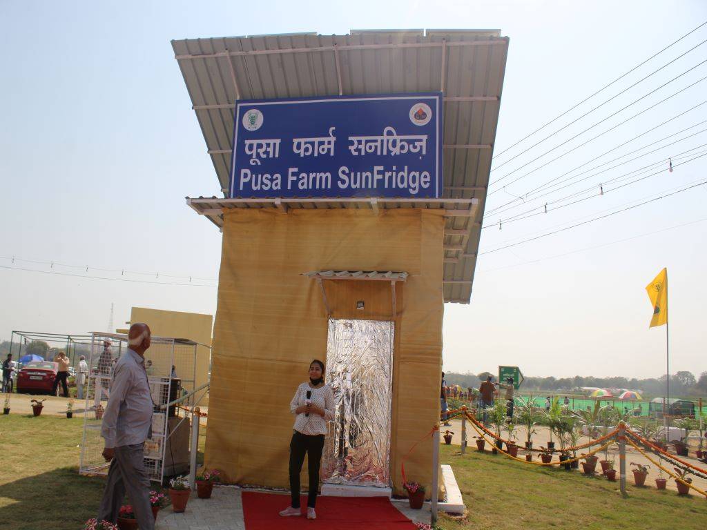 Pusa Farm SunFridge (Krishi Jagran's journalist Jyoti Sharma standing with a mike in hand)