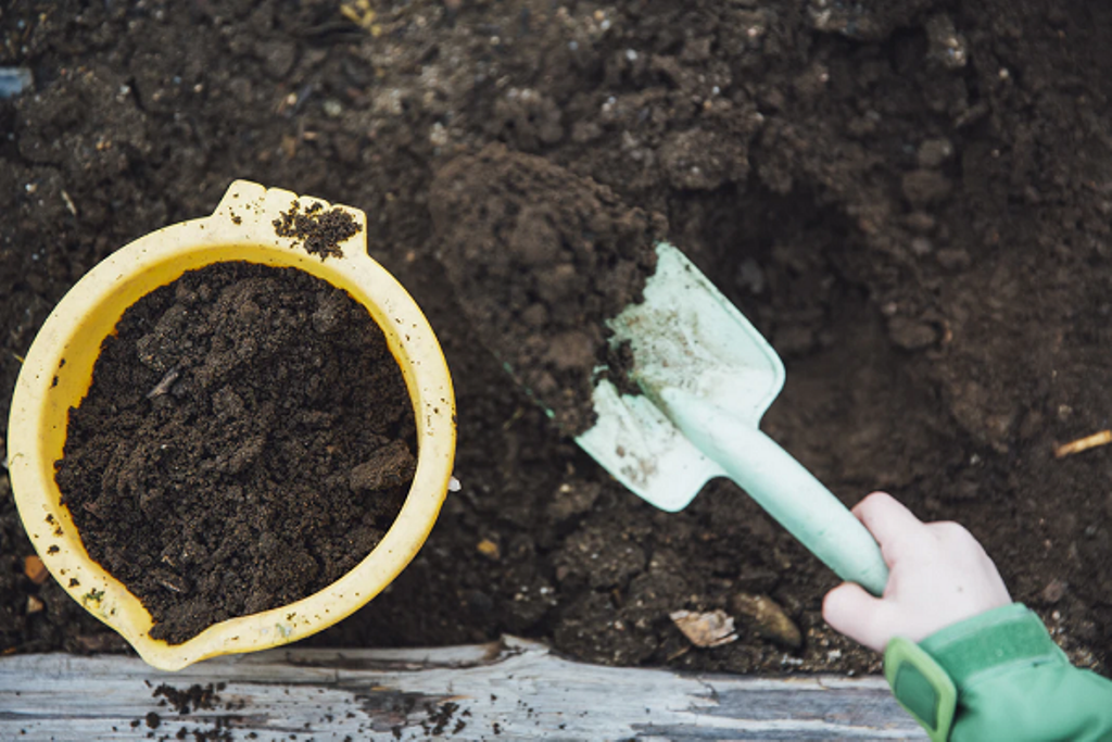 Compost