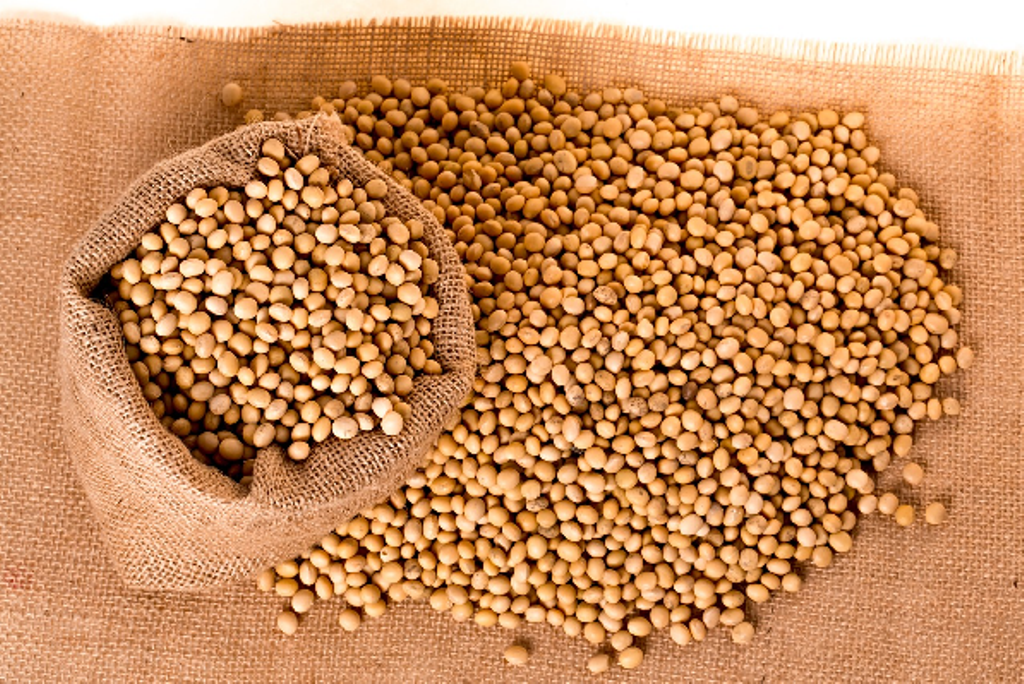 Soybeans