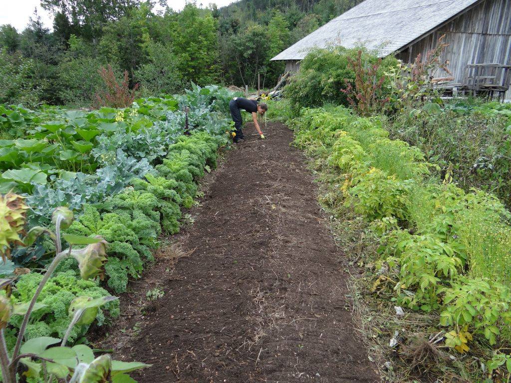 Nutri Gardens