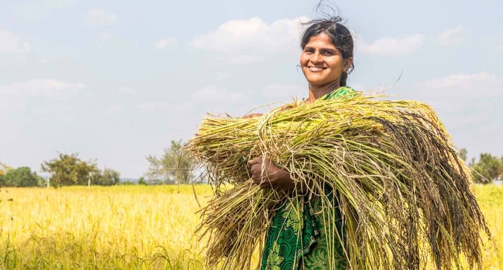 Telangana Ready to Cross Another Milestone in Gross Production value of agriculture and horticulture crops