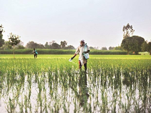 8th Installment of PM Kisan Samman NIdhi will be Released Soon