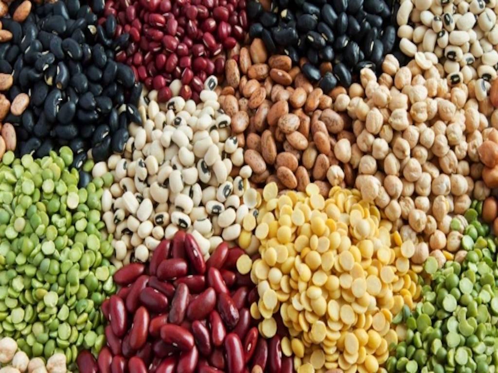 Prices of Agricultural Commodities to soften in H2 this year