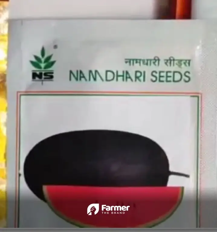 How to do Seeds Business: Learn from a Young Trader from Jharkhand