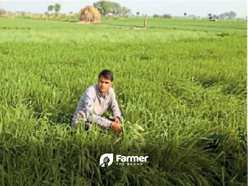 Succeeding through Continuous Learning: An Award Winning Organic Farmer from Rajasthan