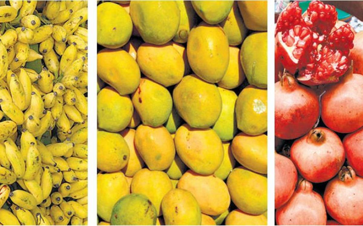 Fruits Export