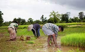 Rajiv Gandhi Kisan Nyaya Yojana & Godhan Nyaya Yojana