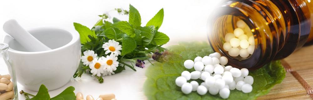 World Homeopathy Day