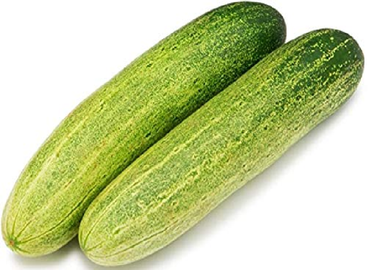 Cucumber varieties