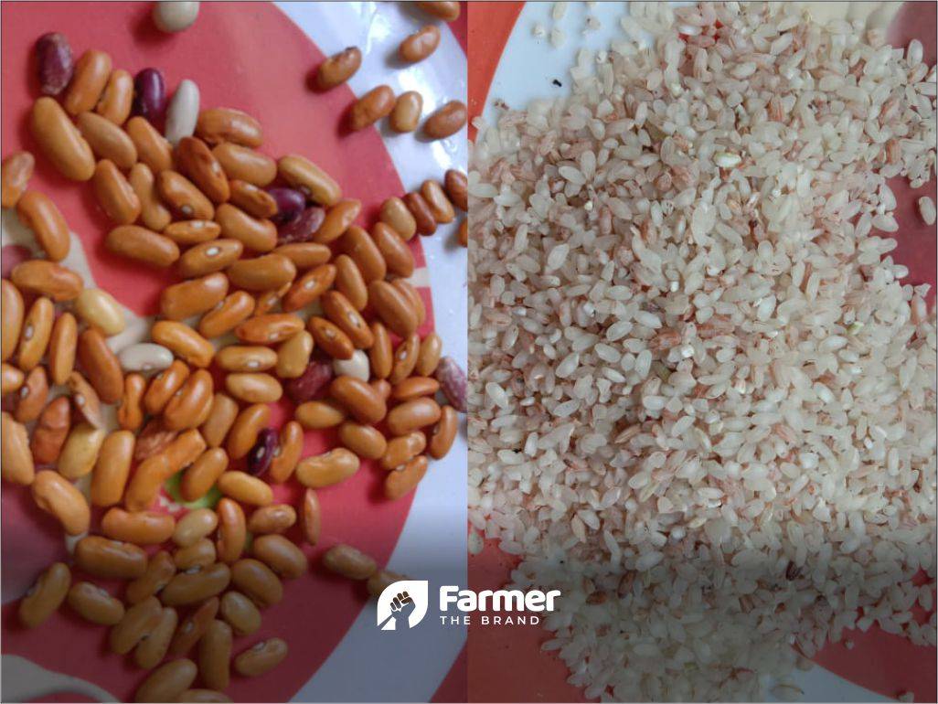 Samples of beans and rice crops