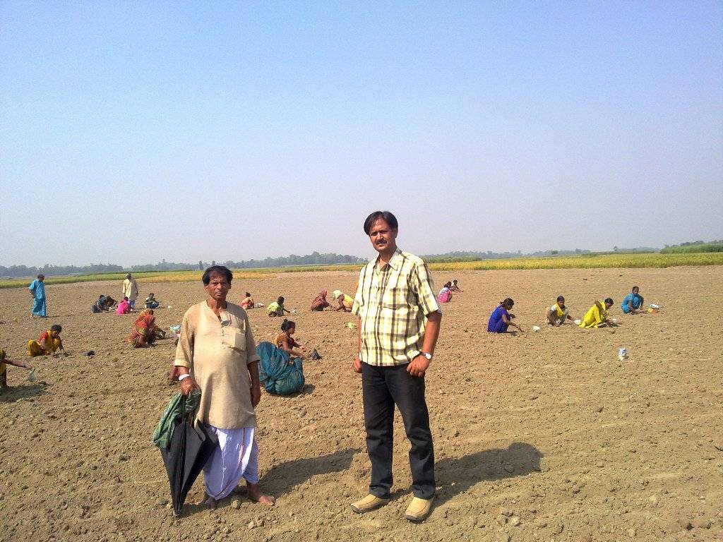 Maize Planting