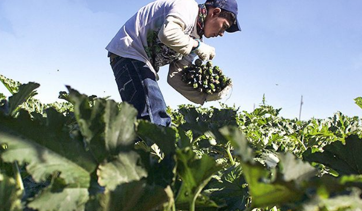 Mid-Sized Farms