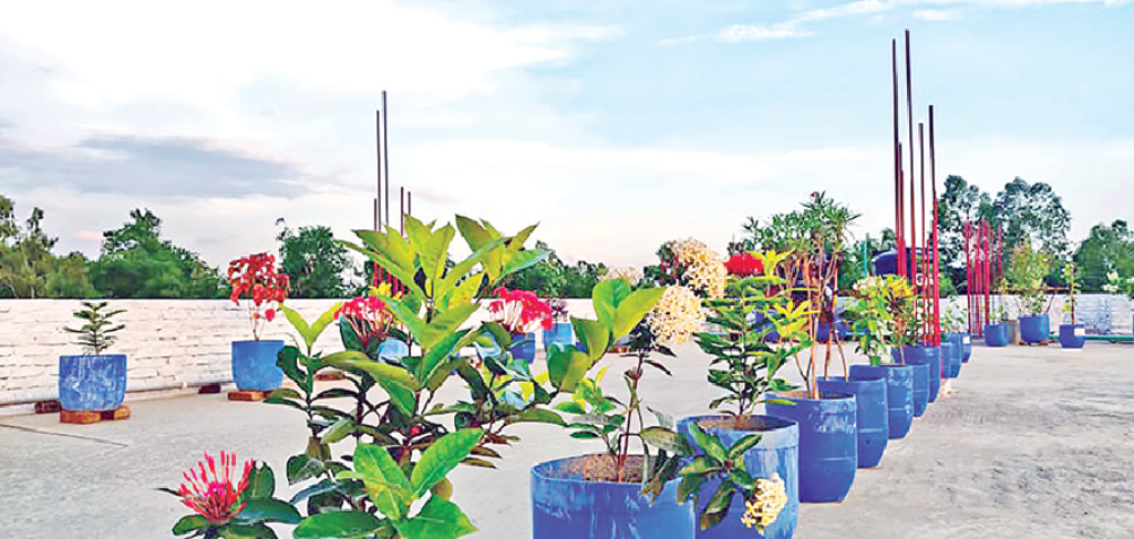 Roof Top Gardening