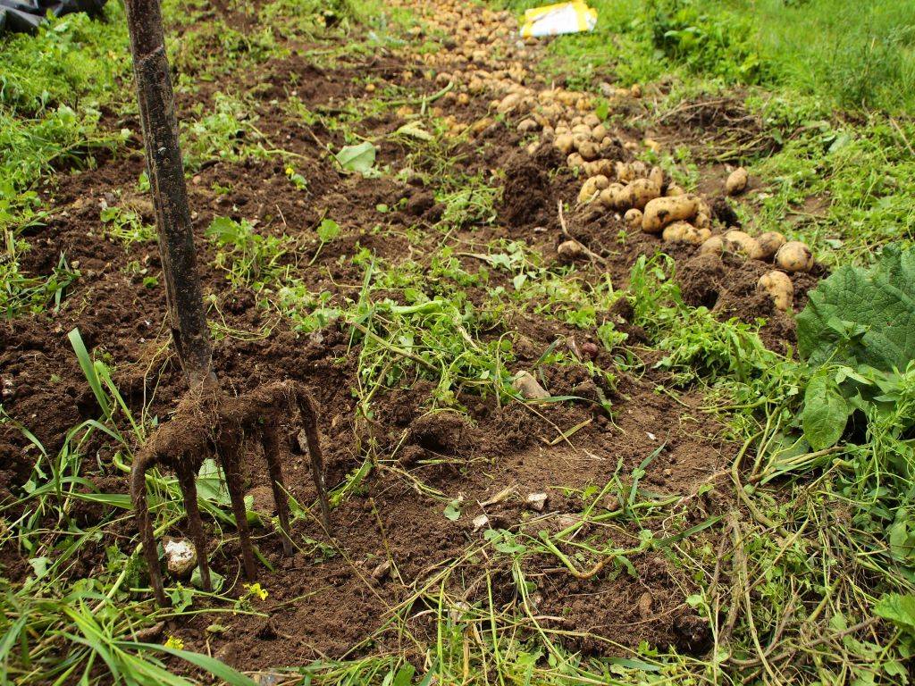 Endeavoring for soil health