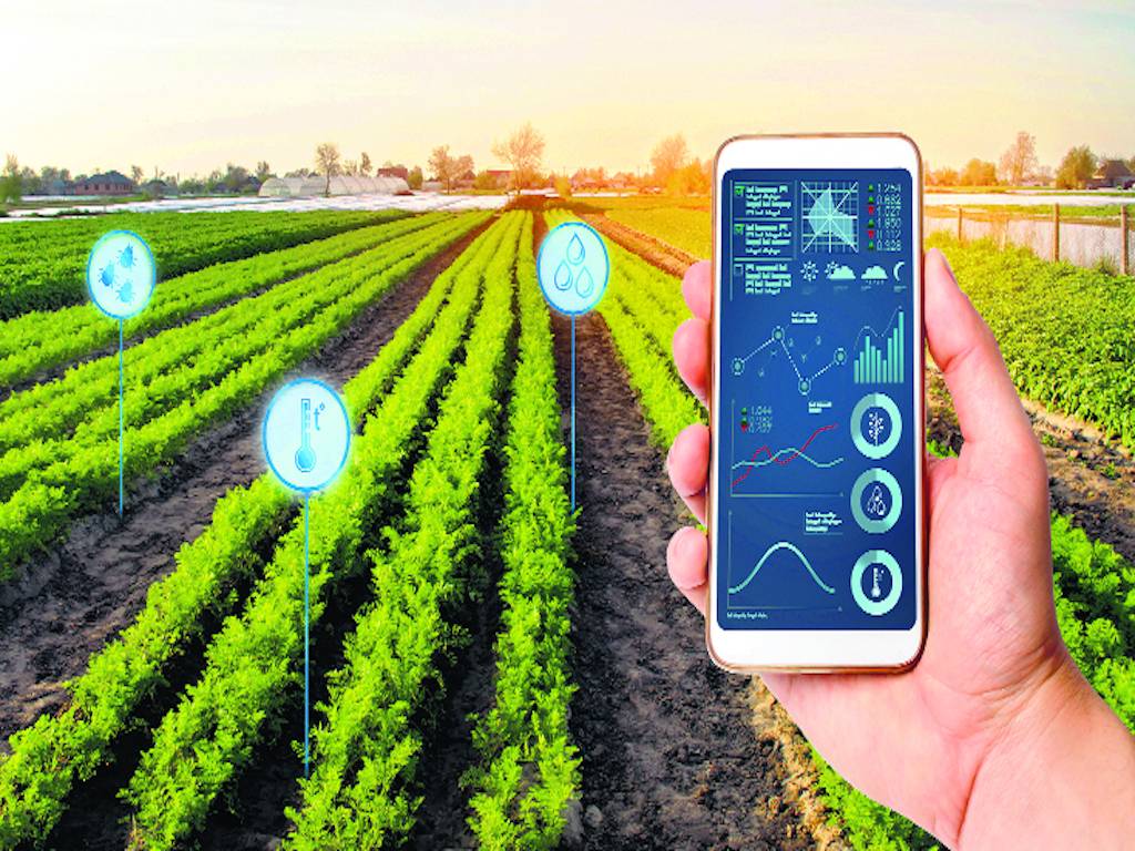 Digital Agriculture