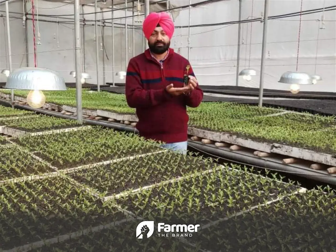 Harbir Singh’s Journey as a Farmer: from a Novice to an Expert