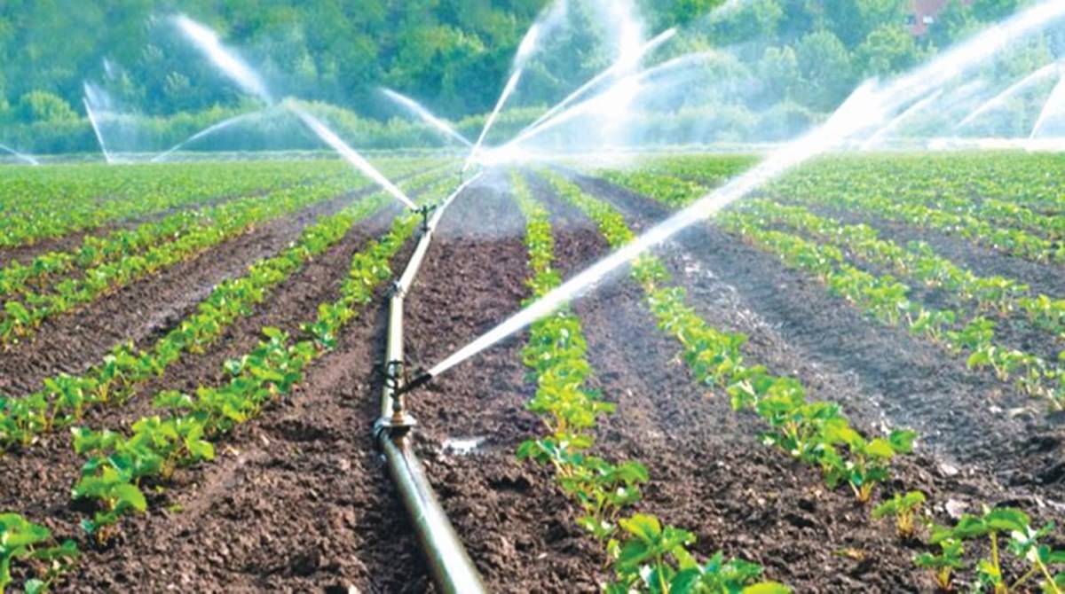 Grants for Irrigation and Sowing