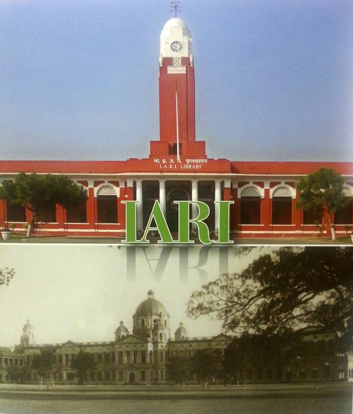 IARI - then and now