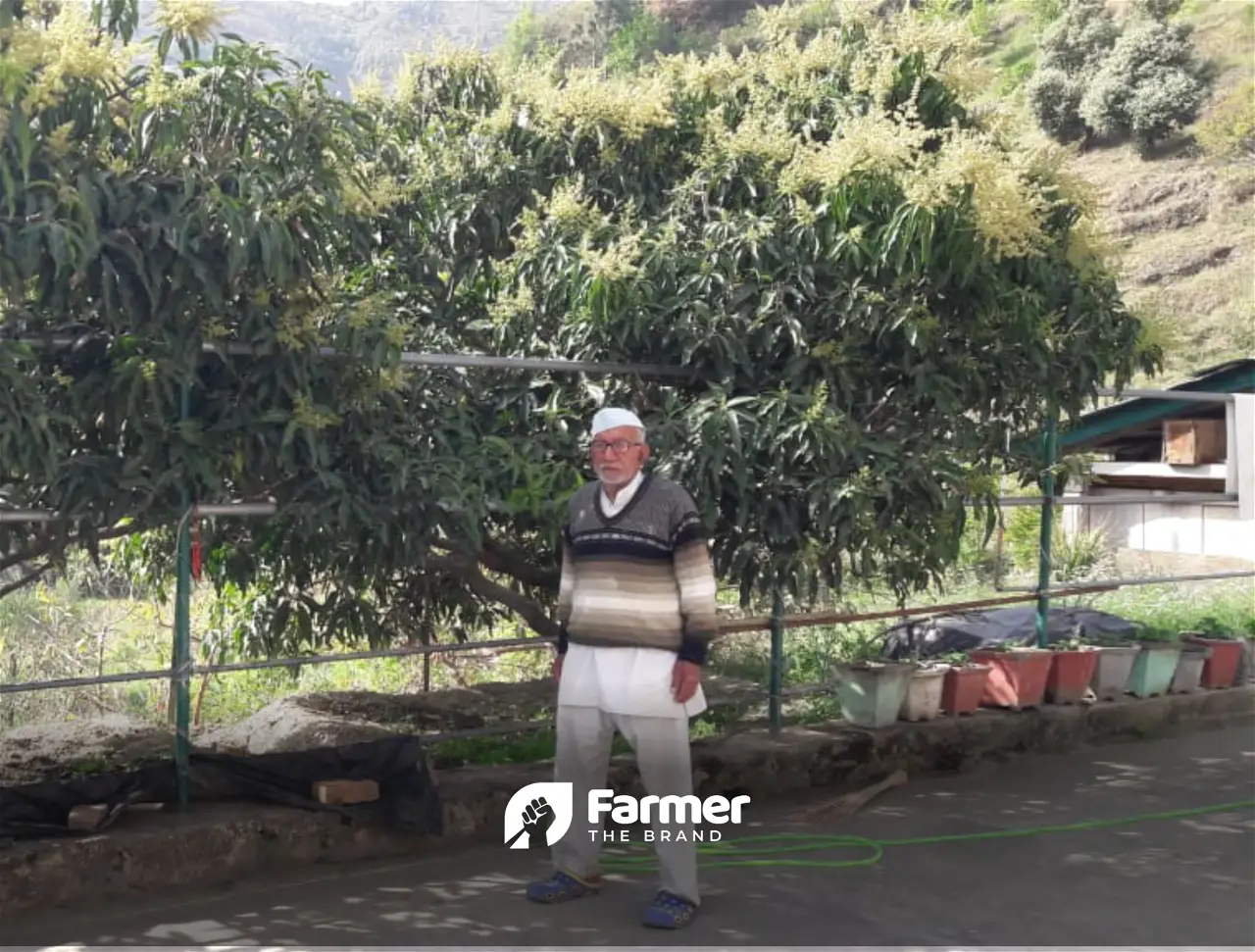 Efforts and Experiences of a Lifetime with Farming in Uttarkashi