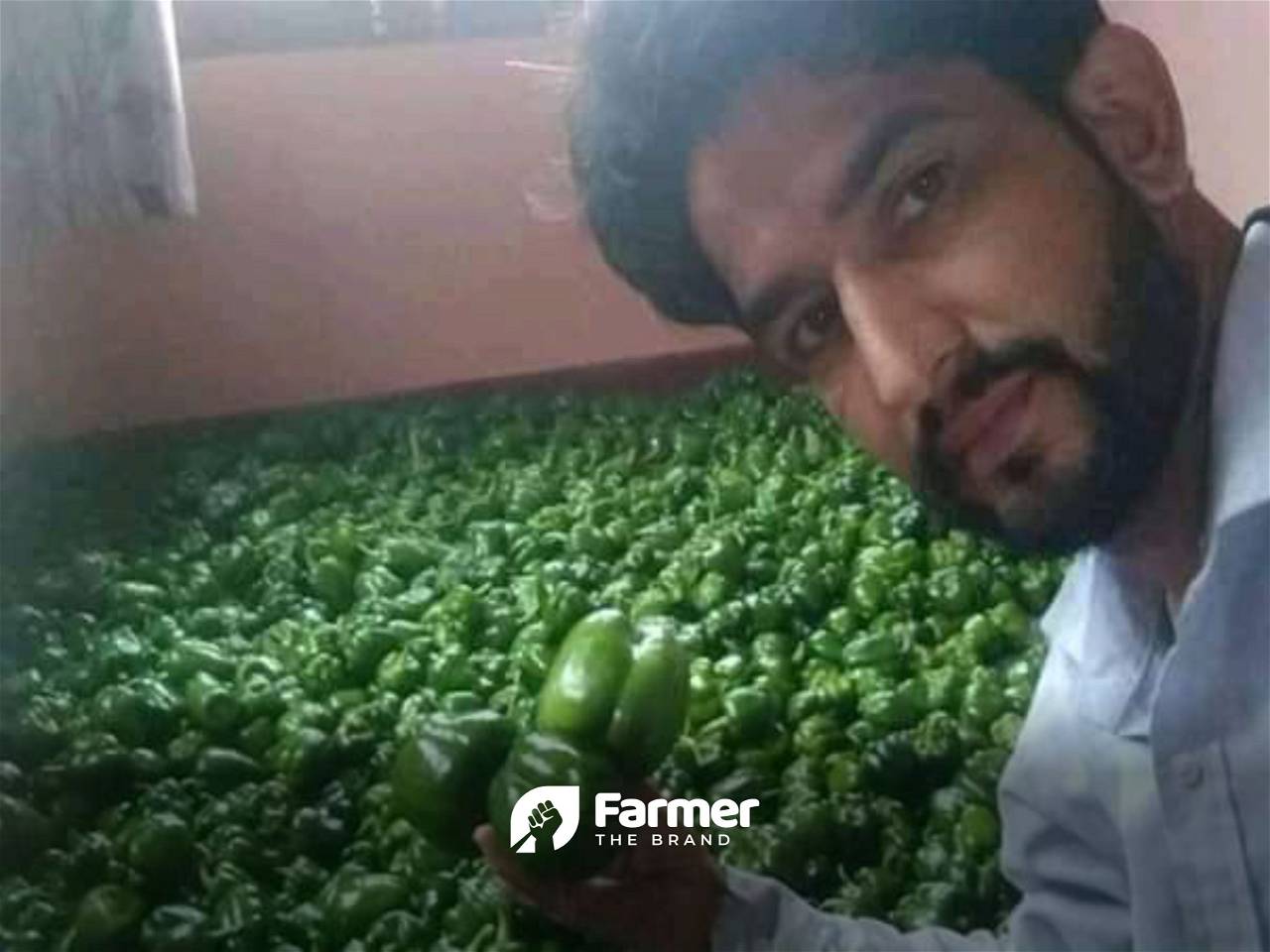 Rohit with his fresh capsicums