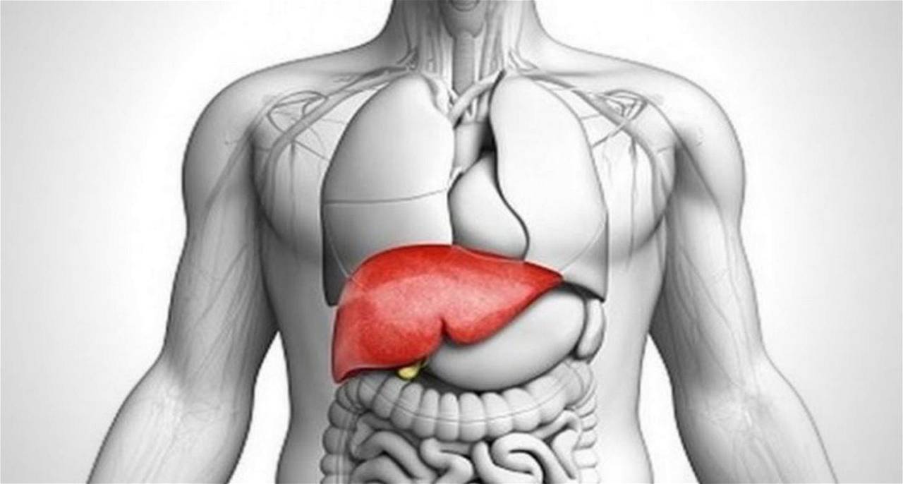 Liver Health