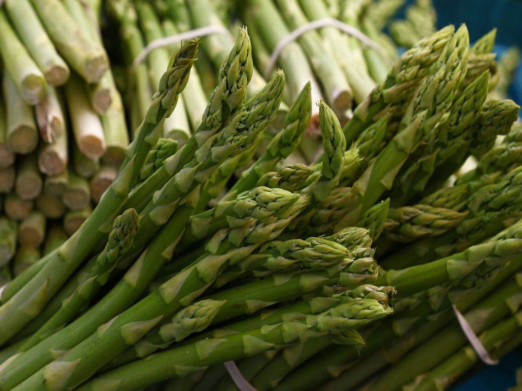 Asparagus