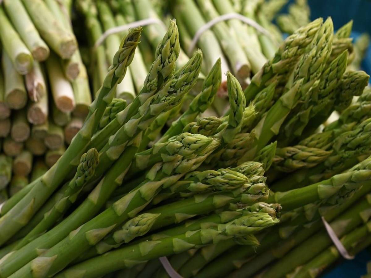 How to Grow Asparagus; A Healthy and Expensive Vegetable