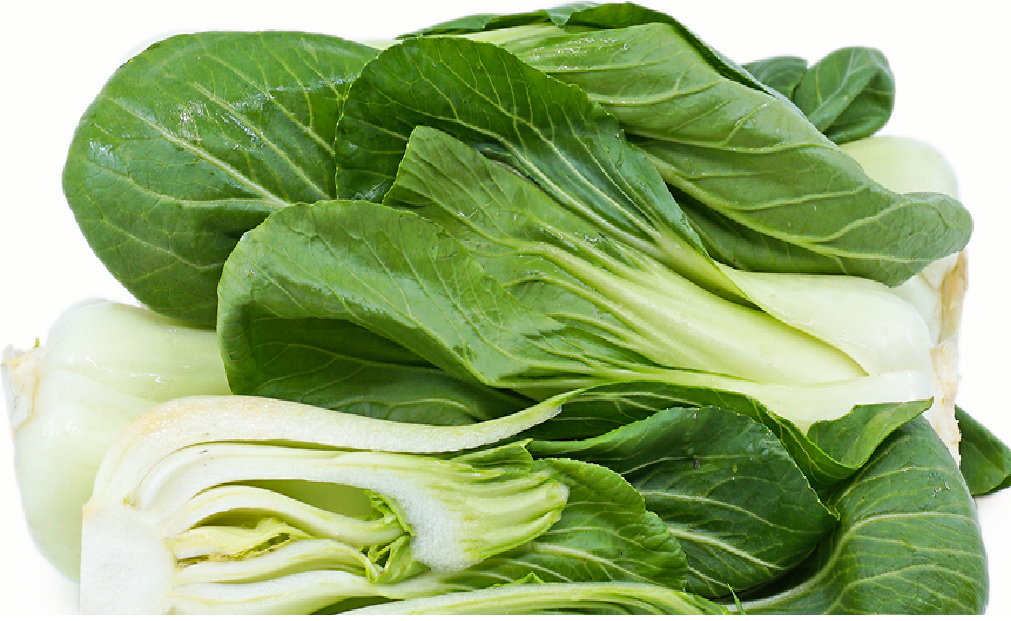 Chinese Cabbage