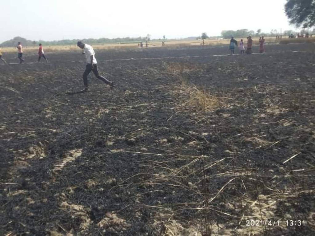 Burnt field