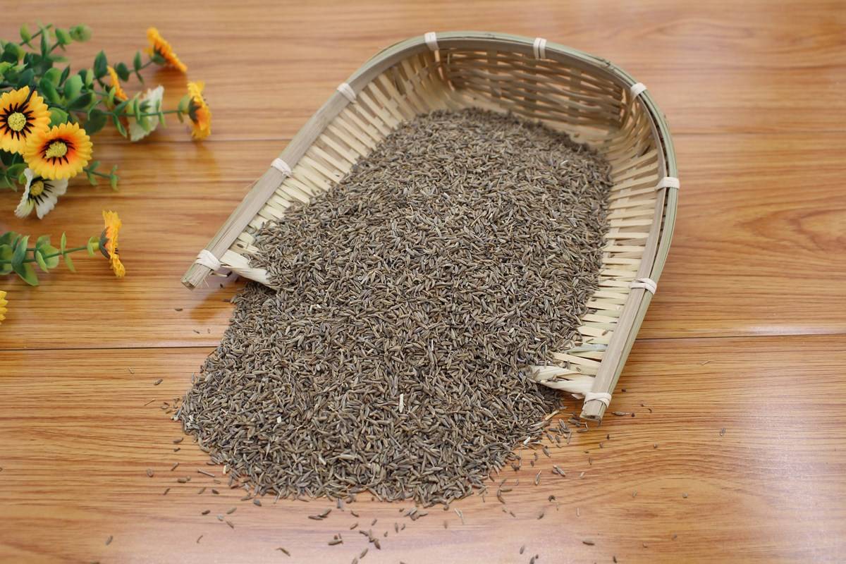 Dried jeera seeds