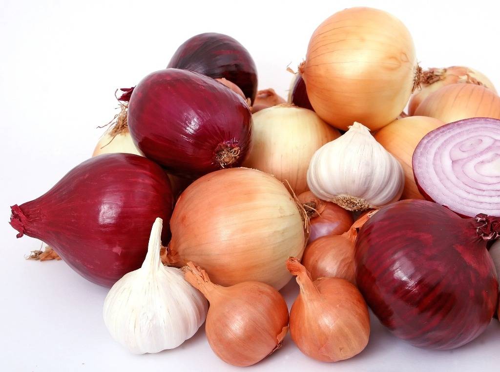 Onion bulbs