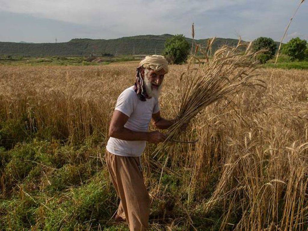 Farmer