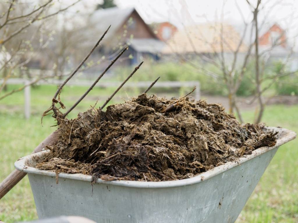 Garden Compost