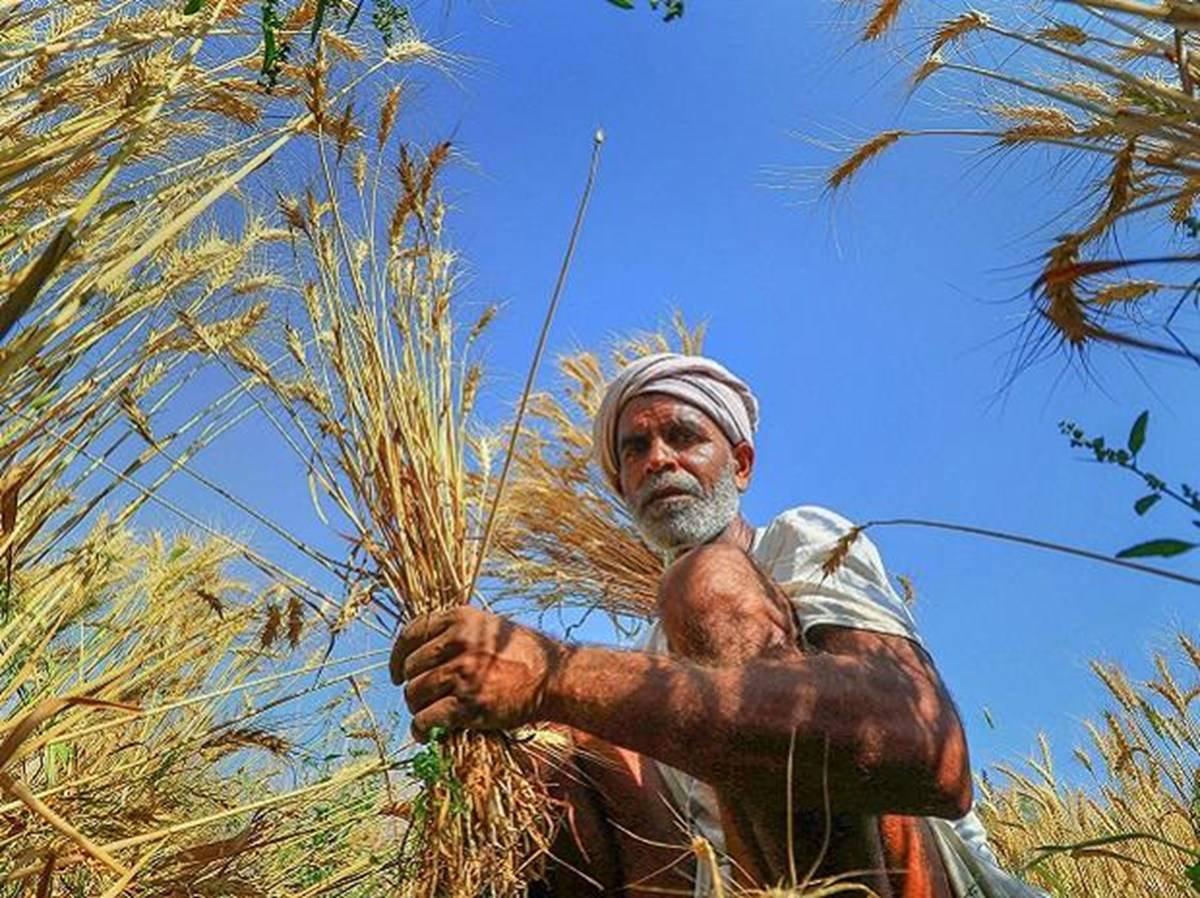 Haryana is All Set to Double Farmers' Income
