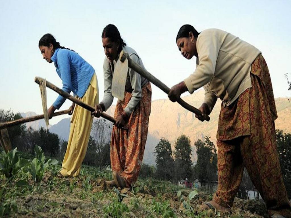 Women Farmers