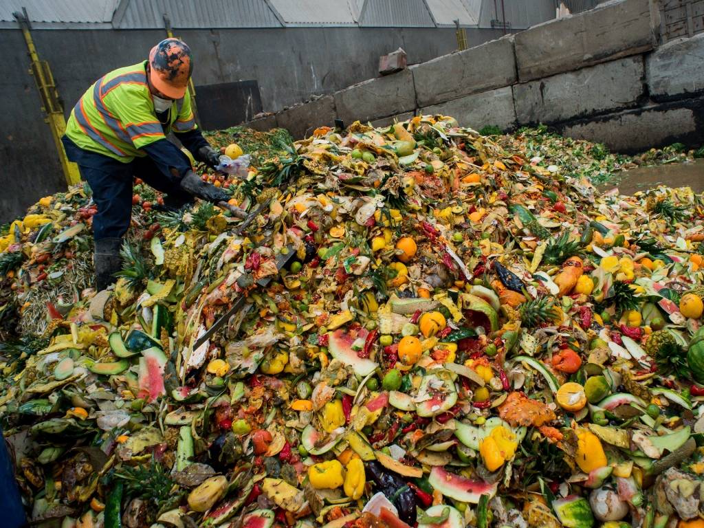 Food Waste Reduction Innovations and Leaders