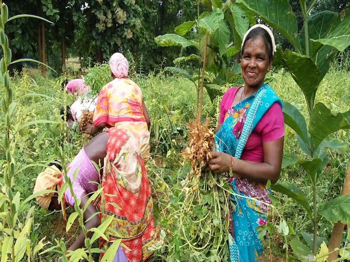 Women Farmers in Odisha