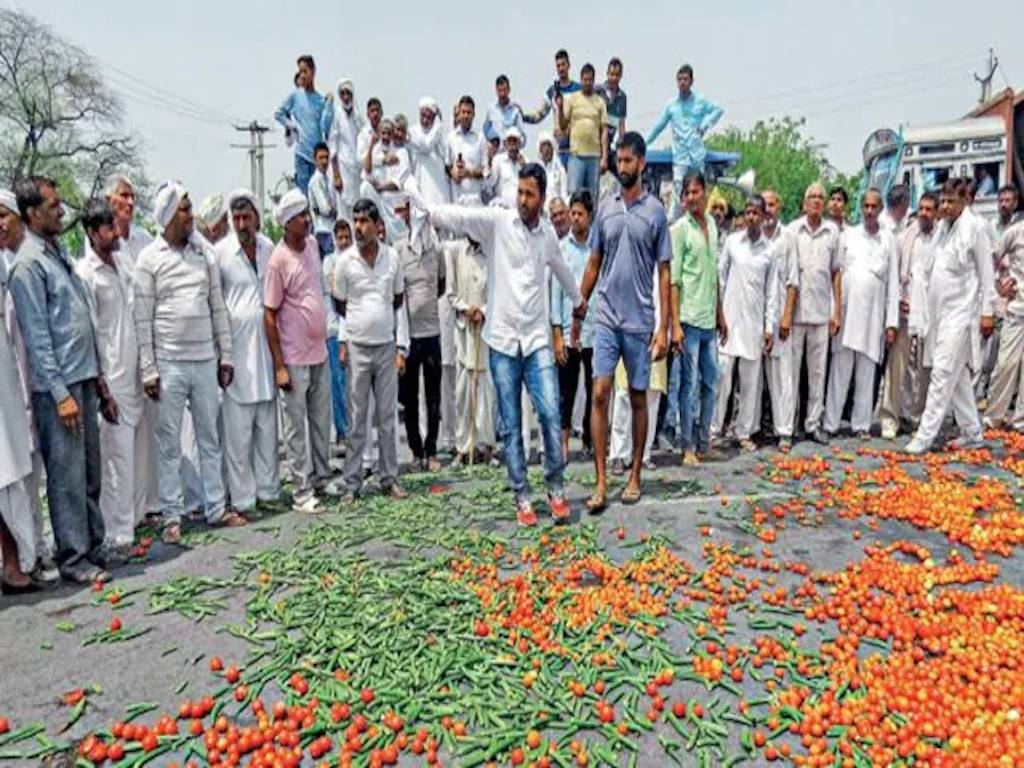 Vegetables Dumped